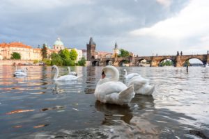 5 nejpůsobivějších budov v Praze – jedinečná příležitost je vidět bez turistů